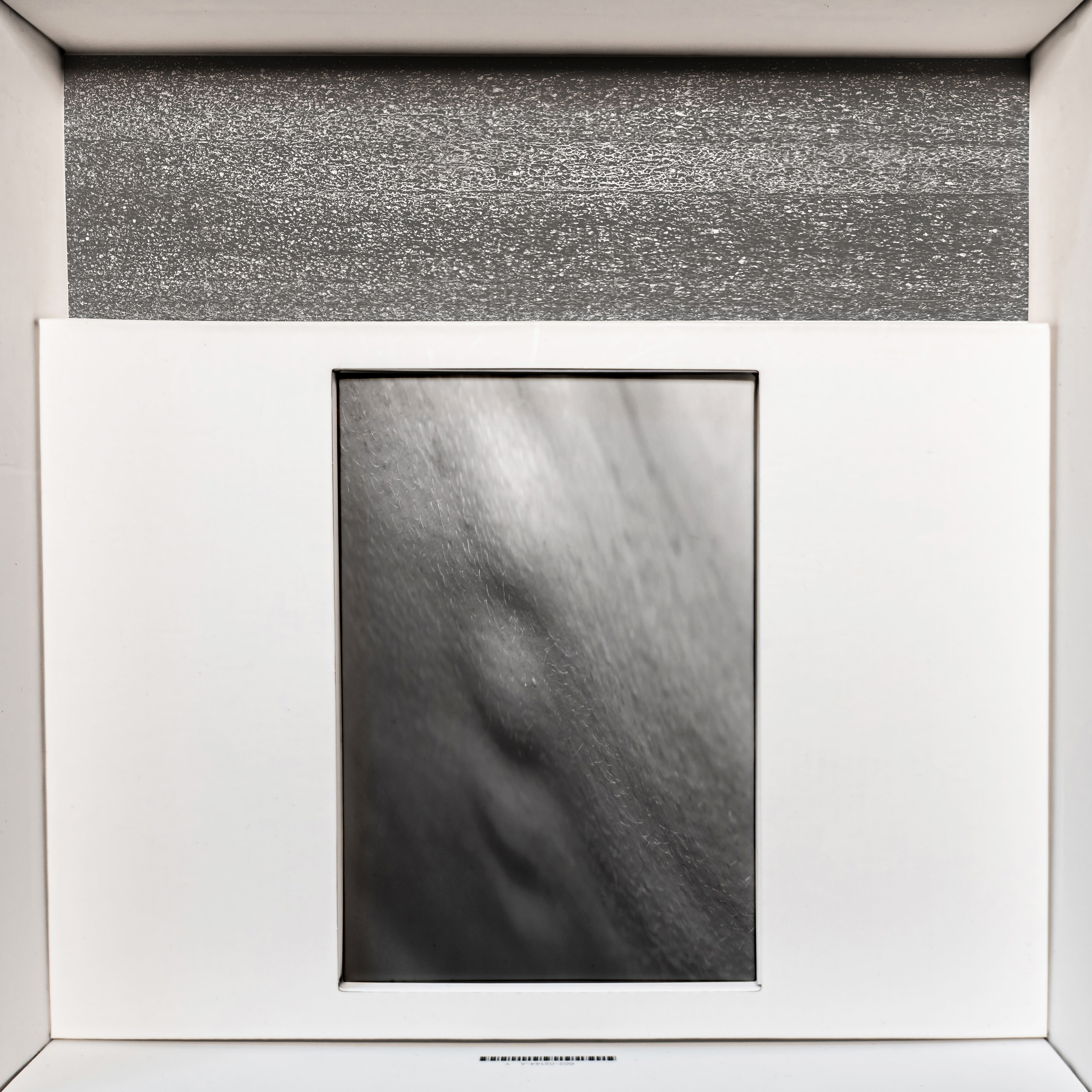 Featured Entry