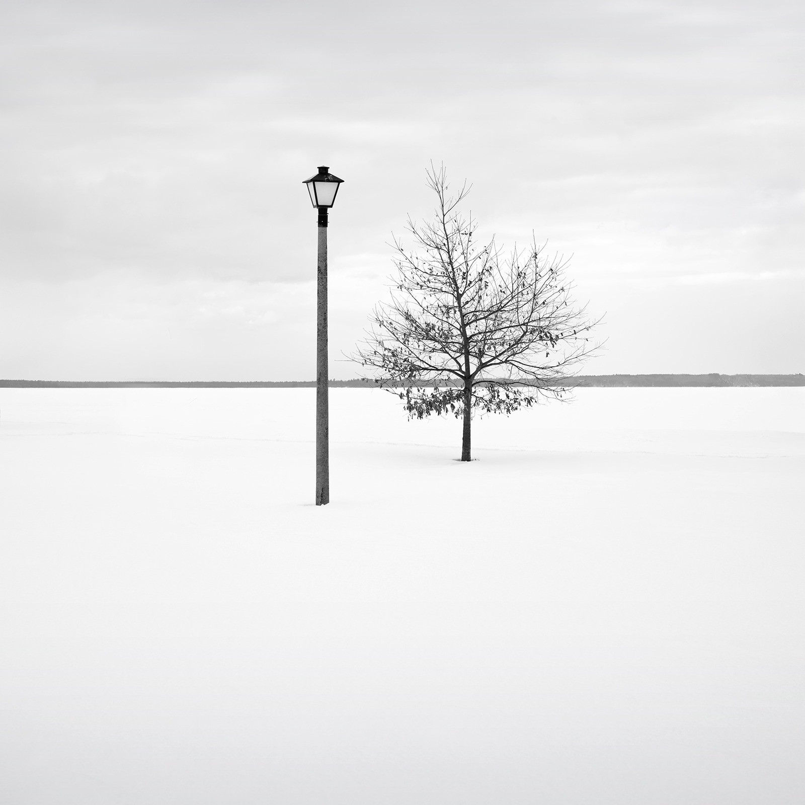 Featured Entry