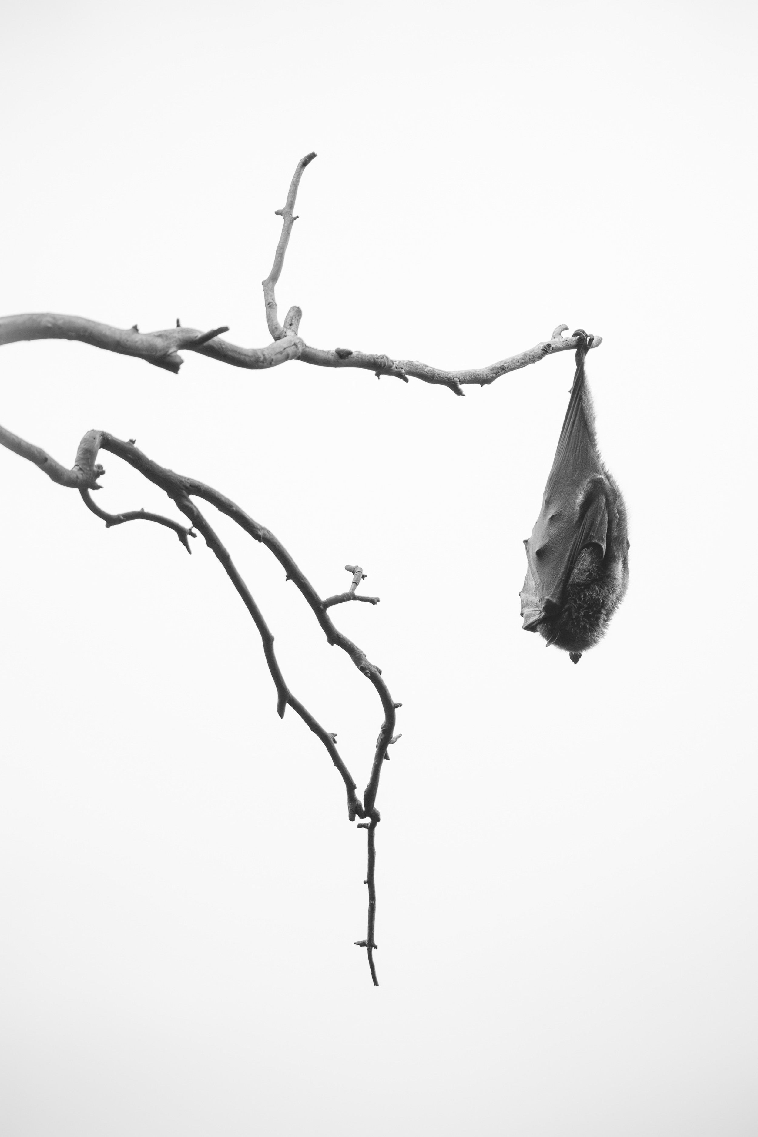 Featured Entry