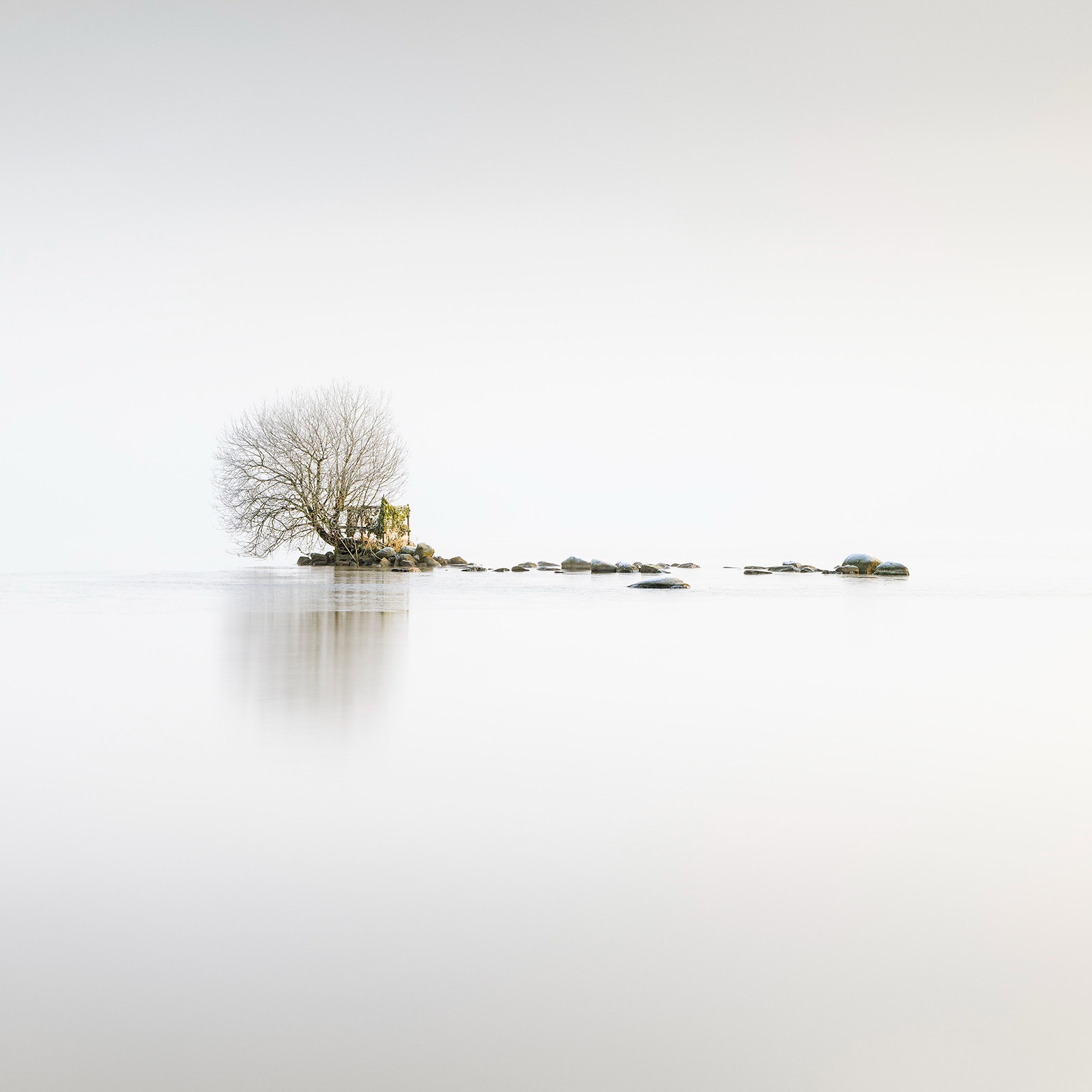 Featured Entry