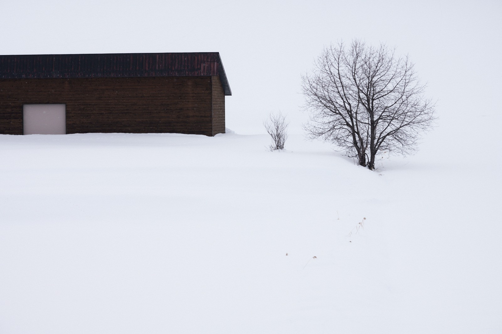 Featured Entry