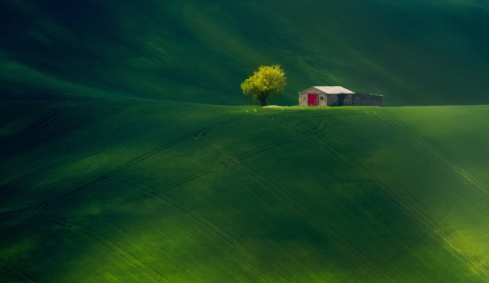 Featured Entry