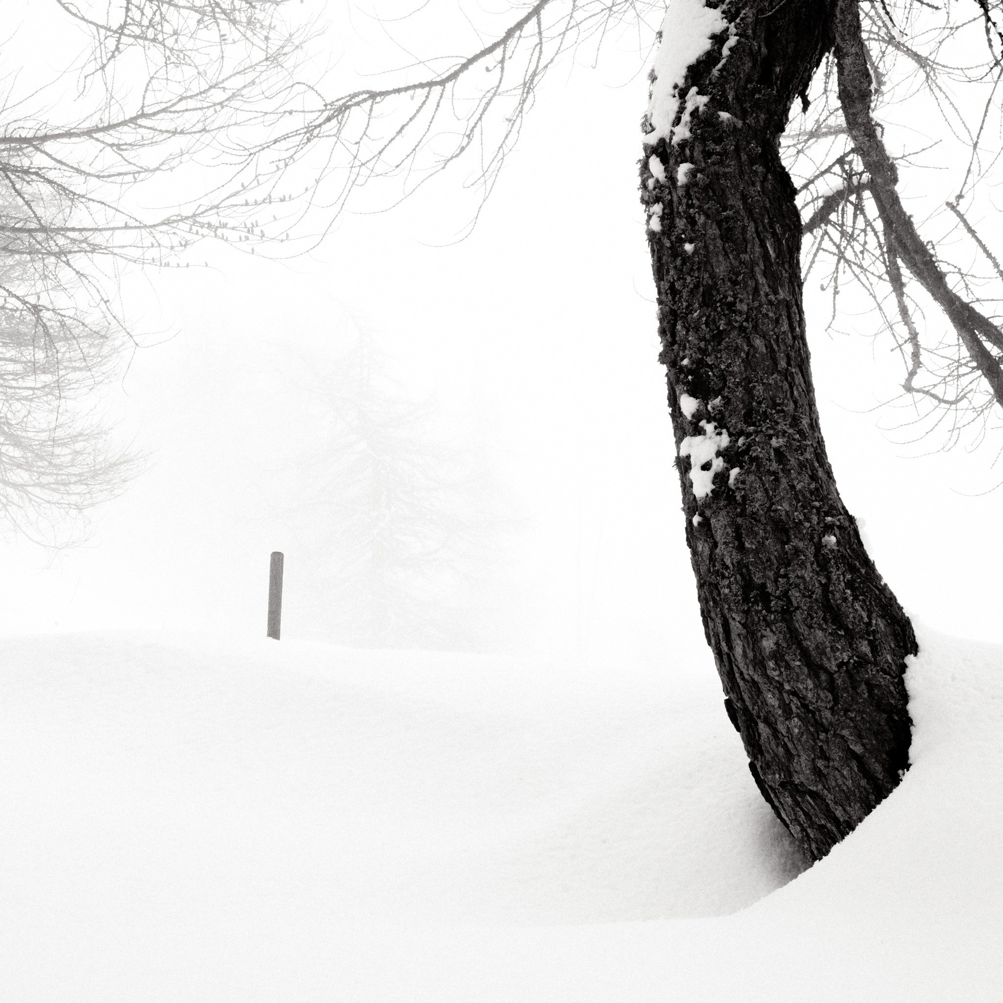 Featured Entry
