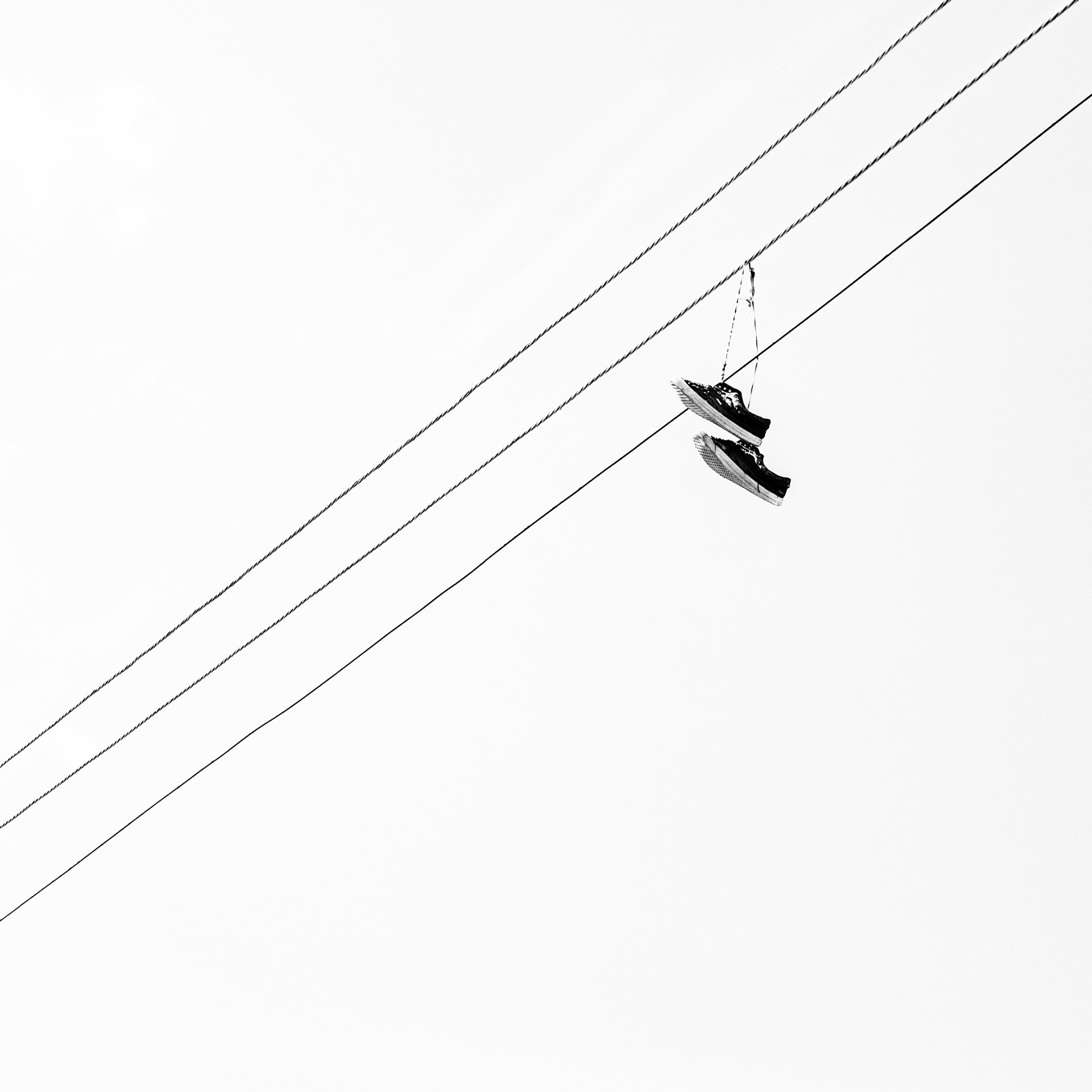 Featured Entry
