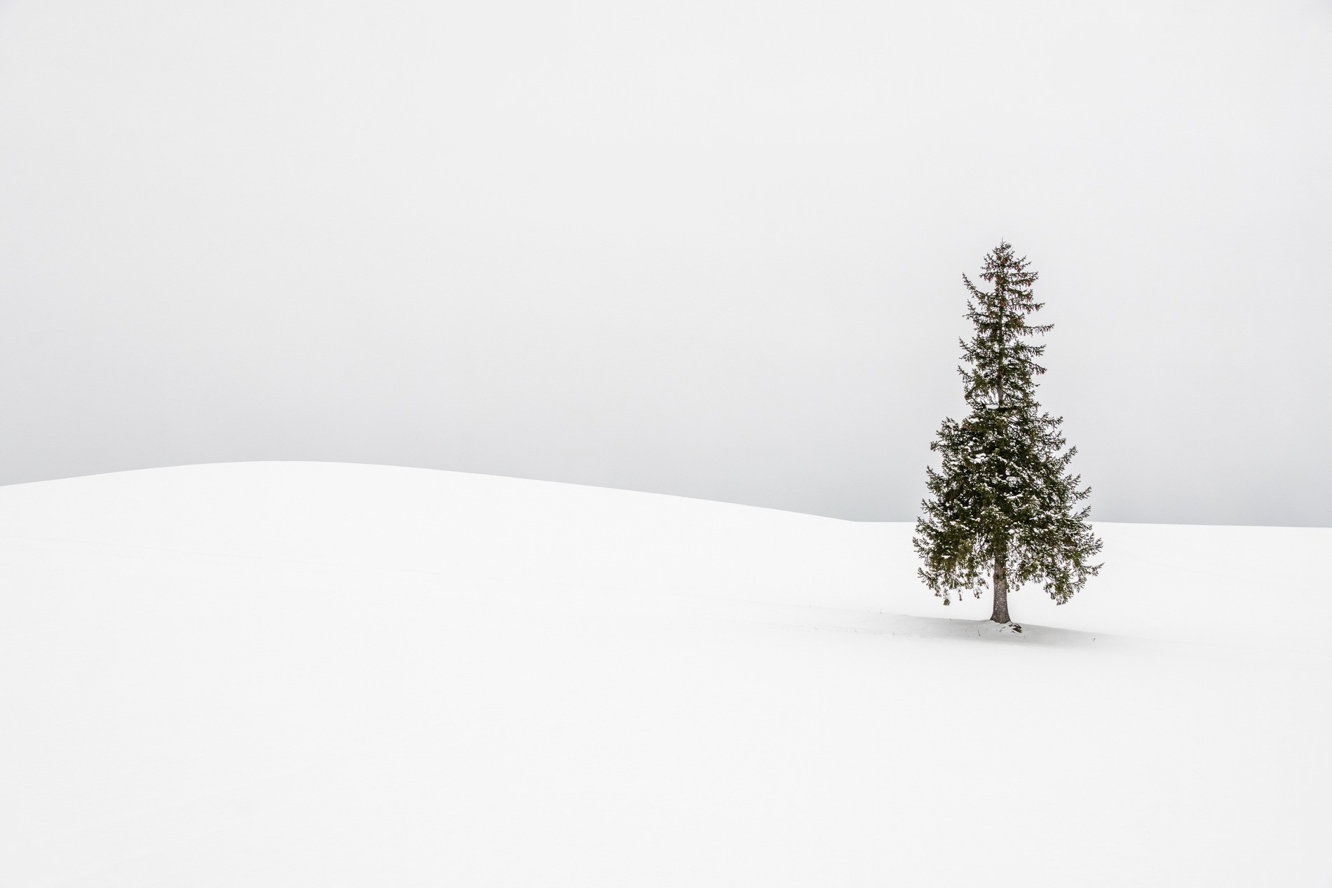 Featured Entry