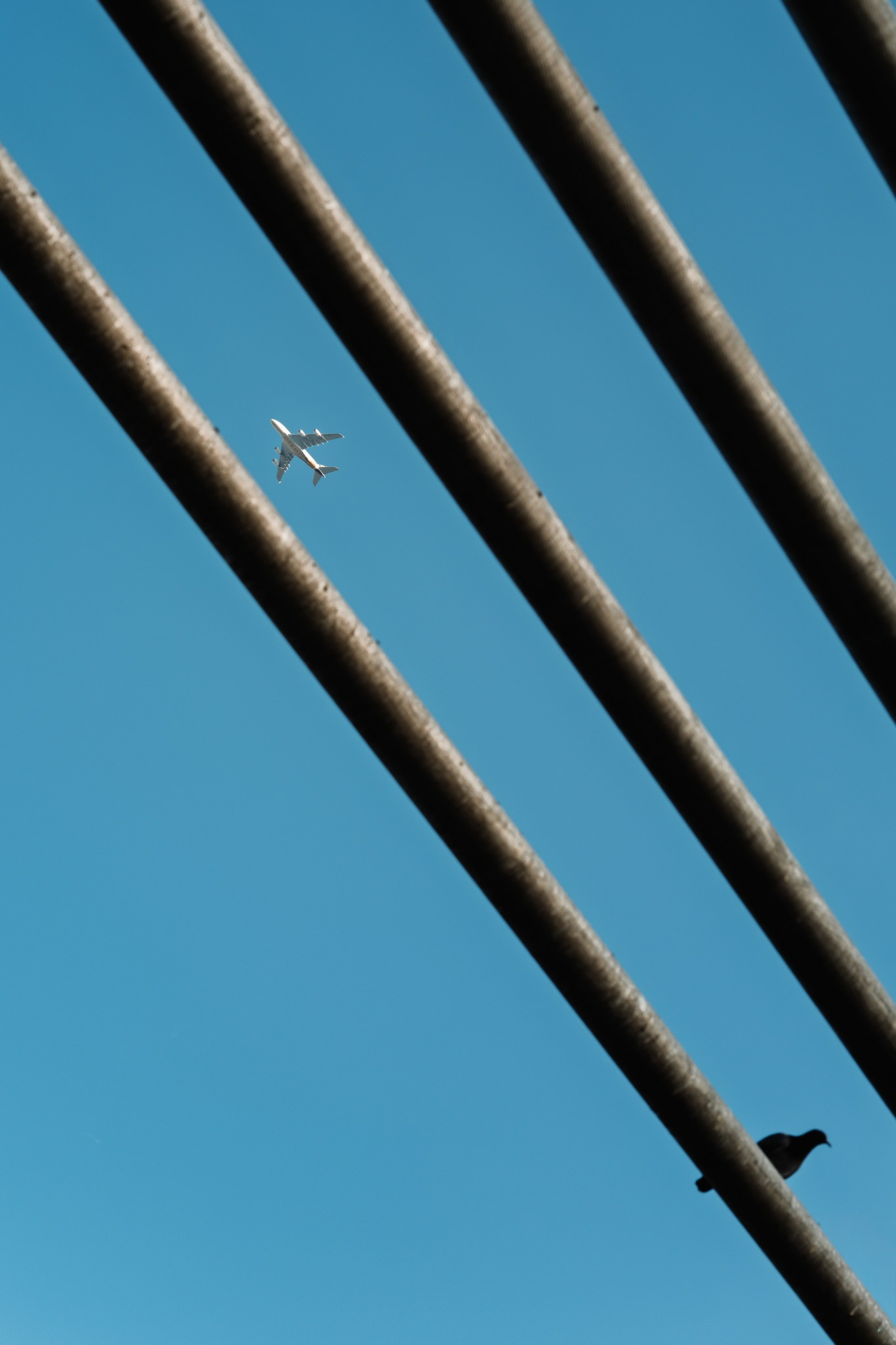Two Ways Out