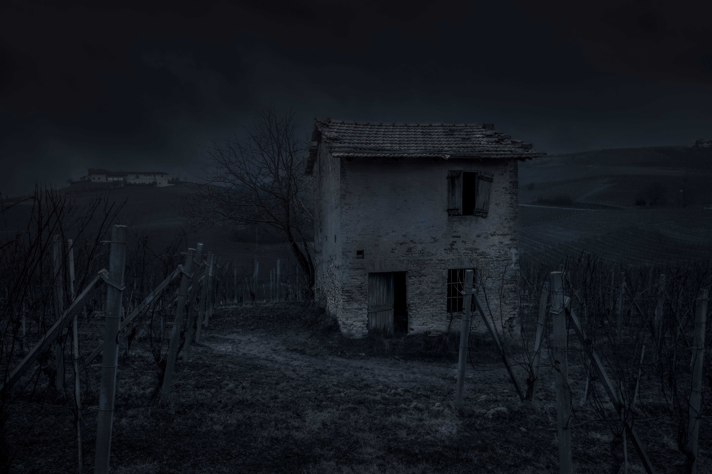 knowing how to look at the night