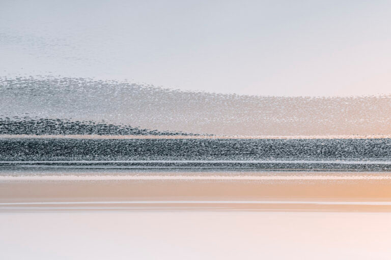 Linear Waves