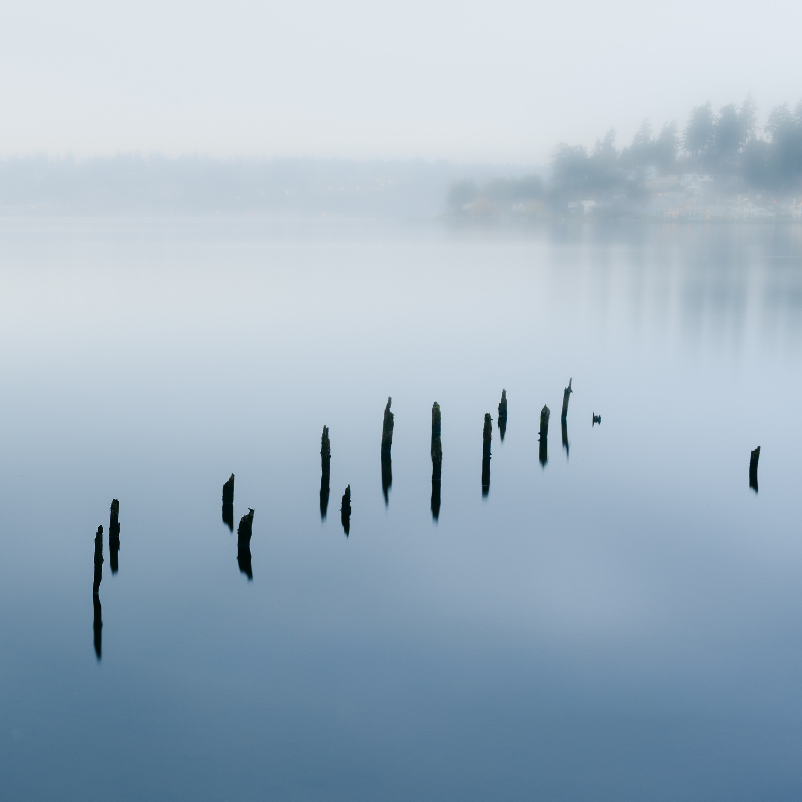 Featured Entry
