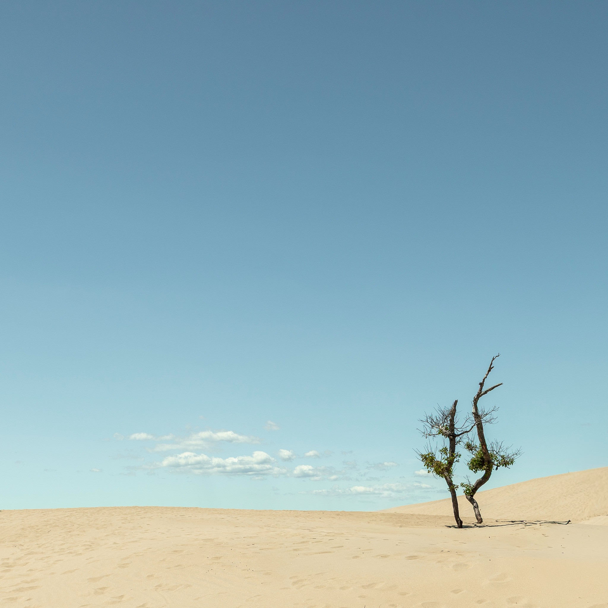 Featured Entry
