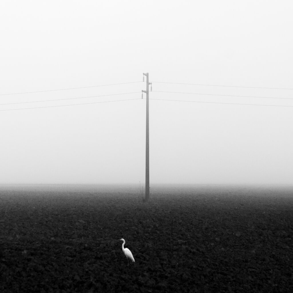 Featured Entry