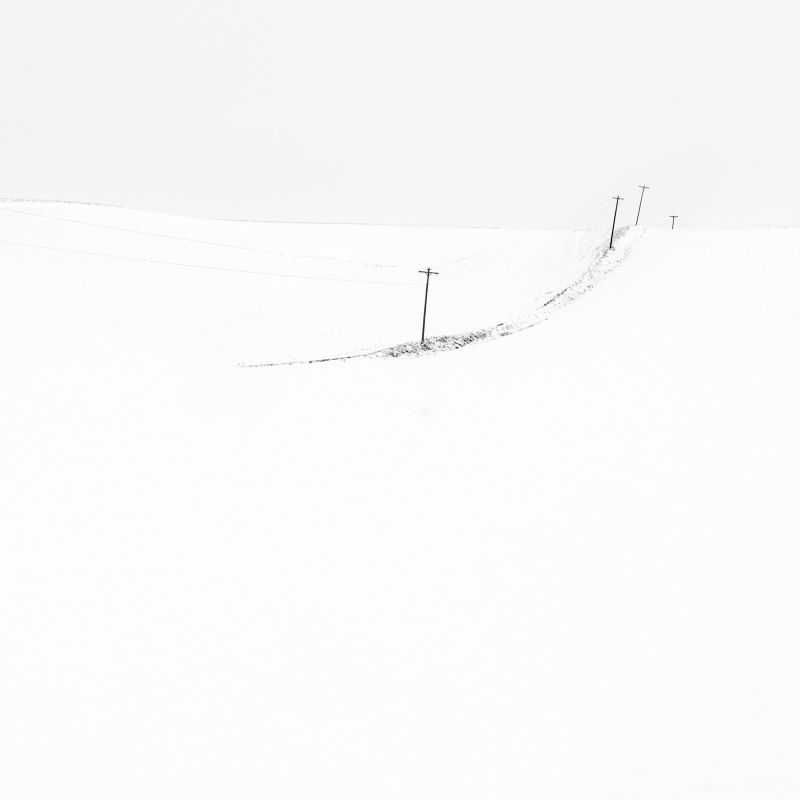 Featured Entry