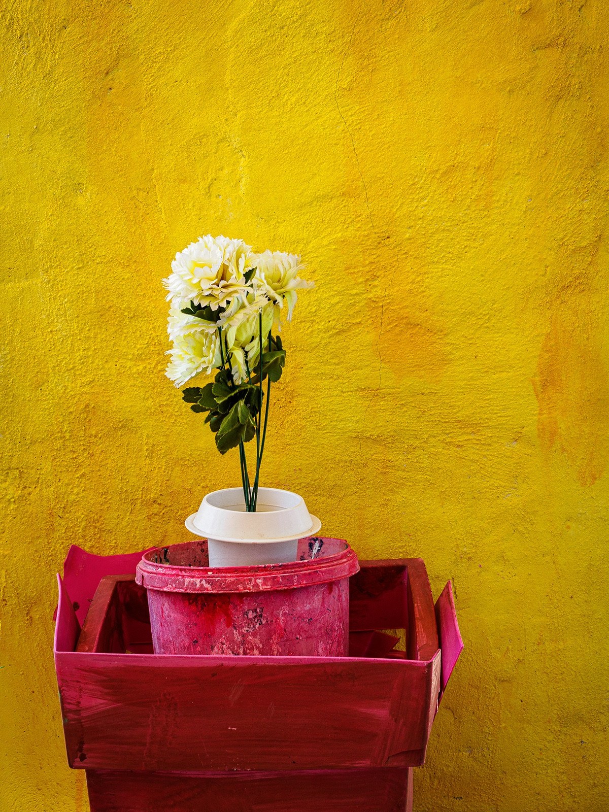 Featured Entry