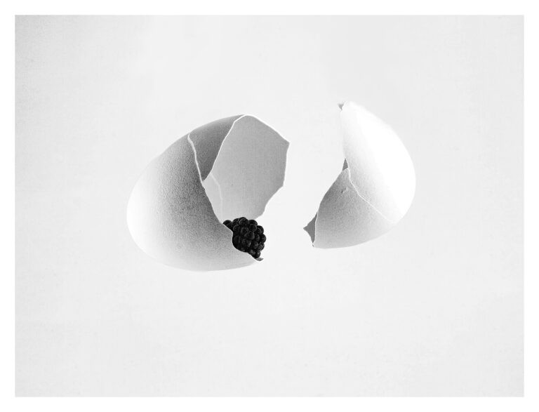 egg