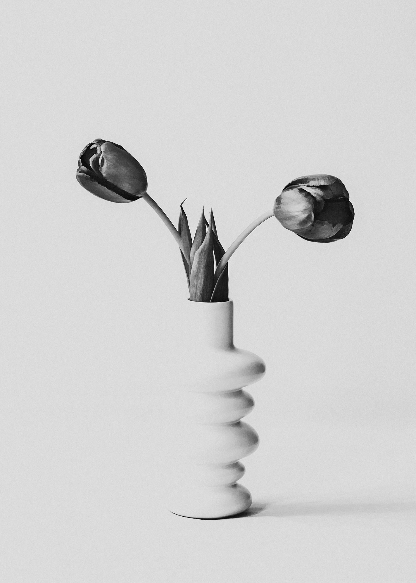 Featured Entry
