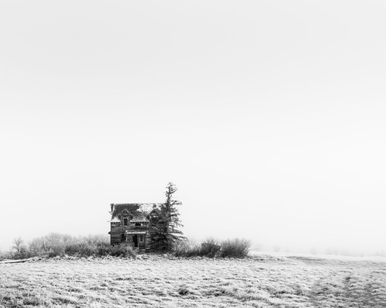 the silence between breaths