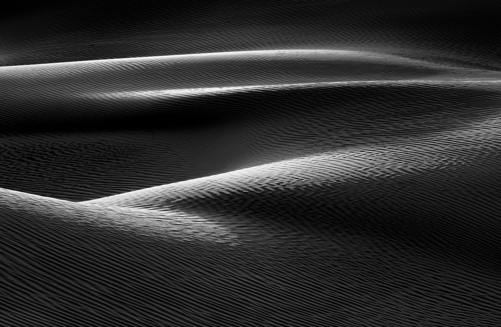 The Quiet Desert