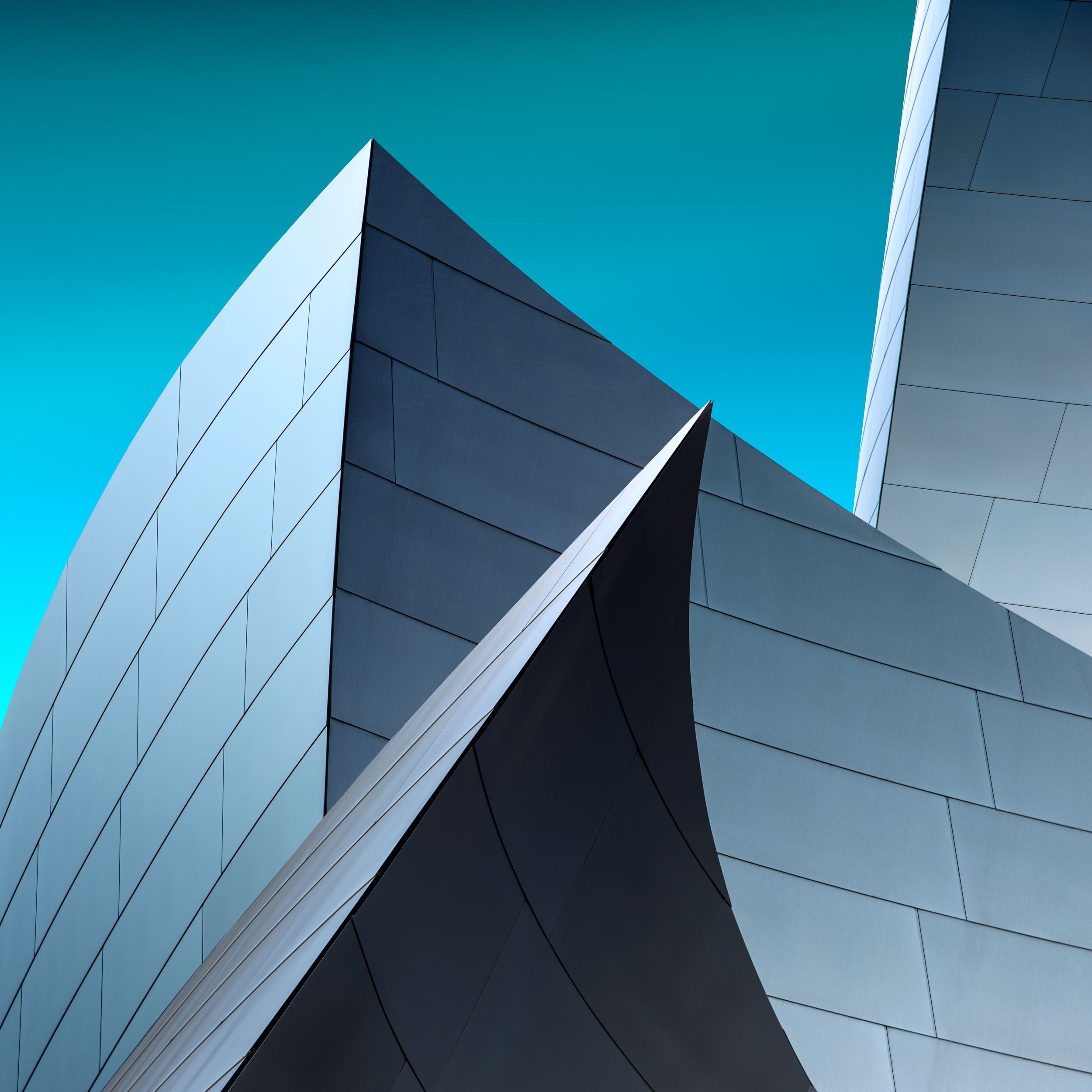 Curves in Colour