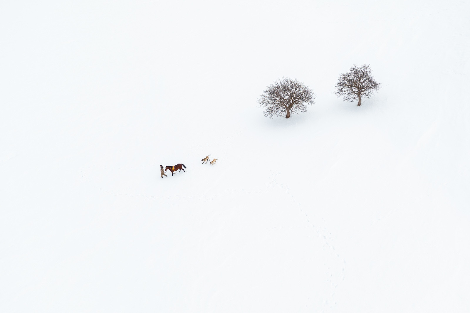 Tracks of Silence