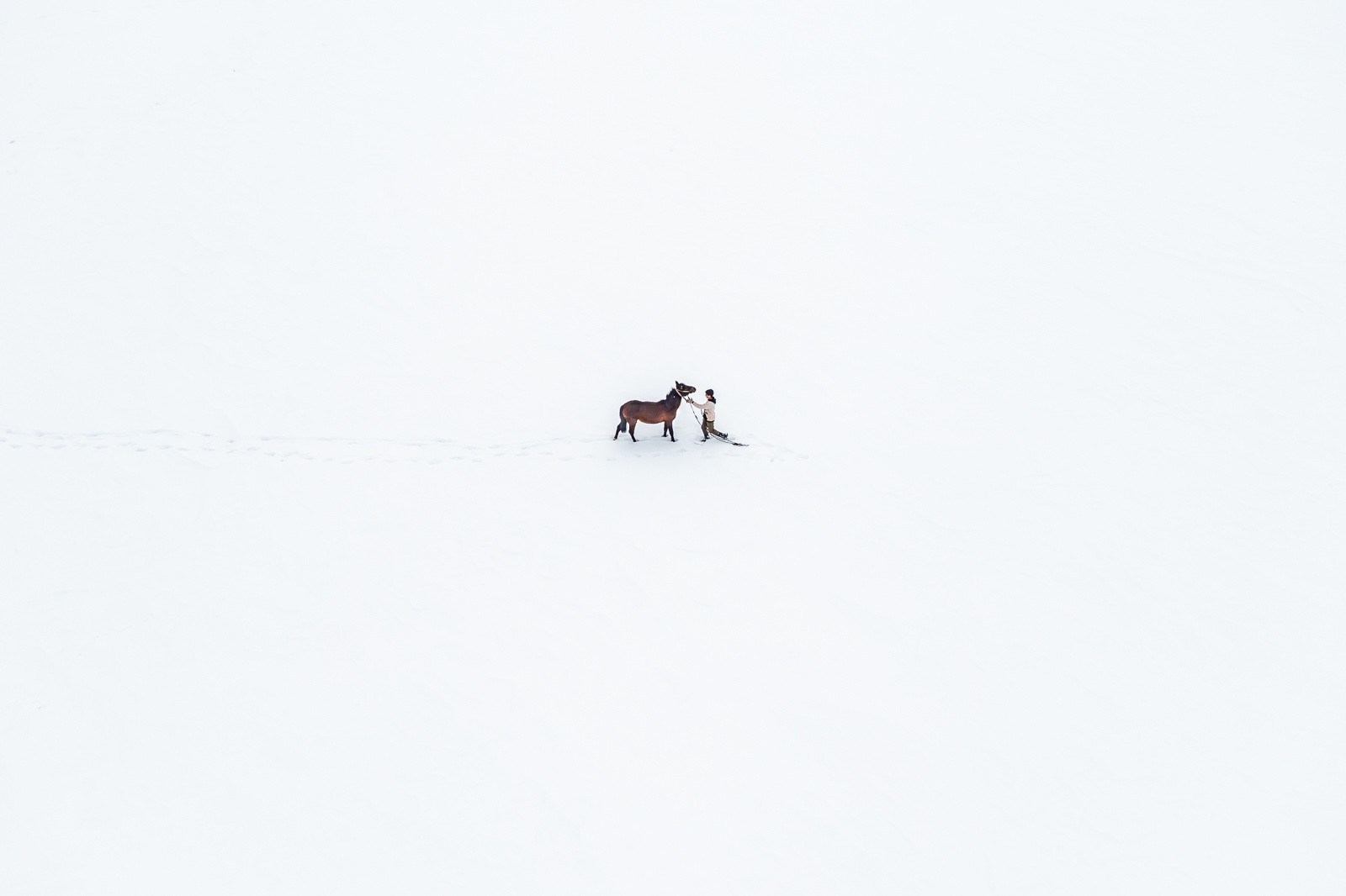 The White Silence