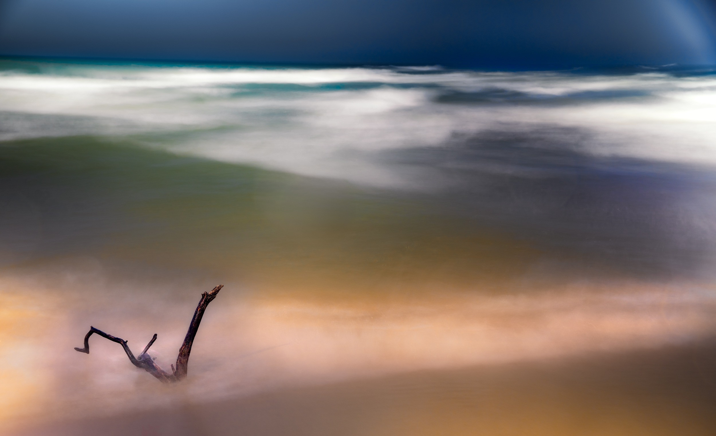 Driftwood Elegy