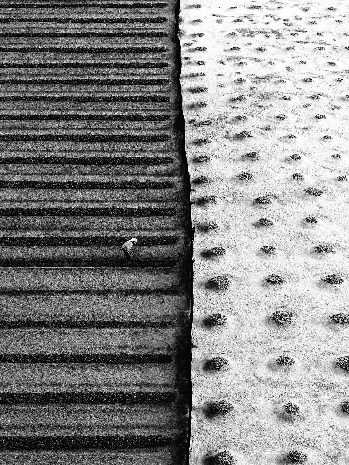 Between Patterns