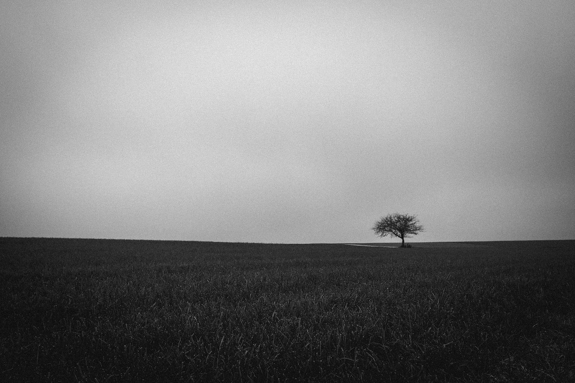 a place of silence