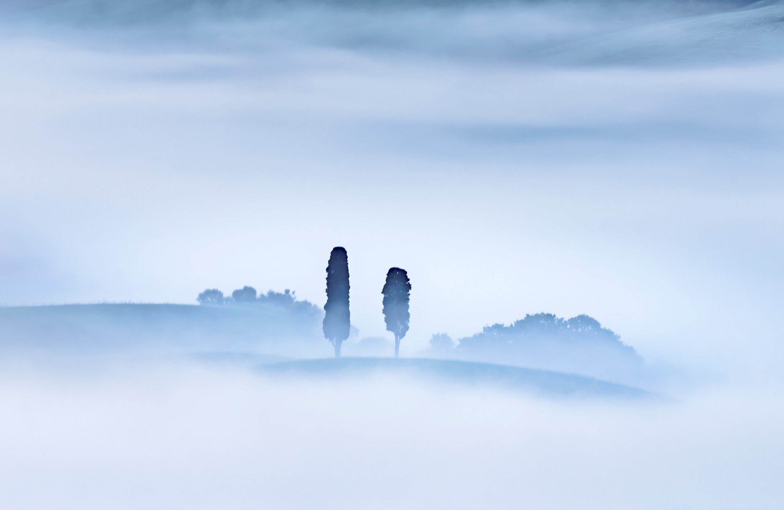 Sentinels