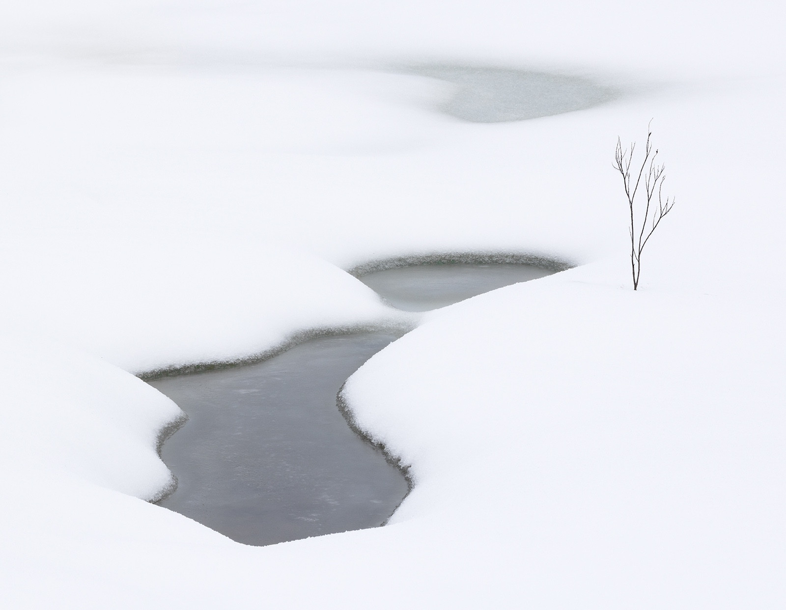 Frozen Resilience