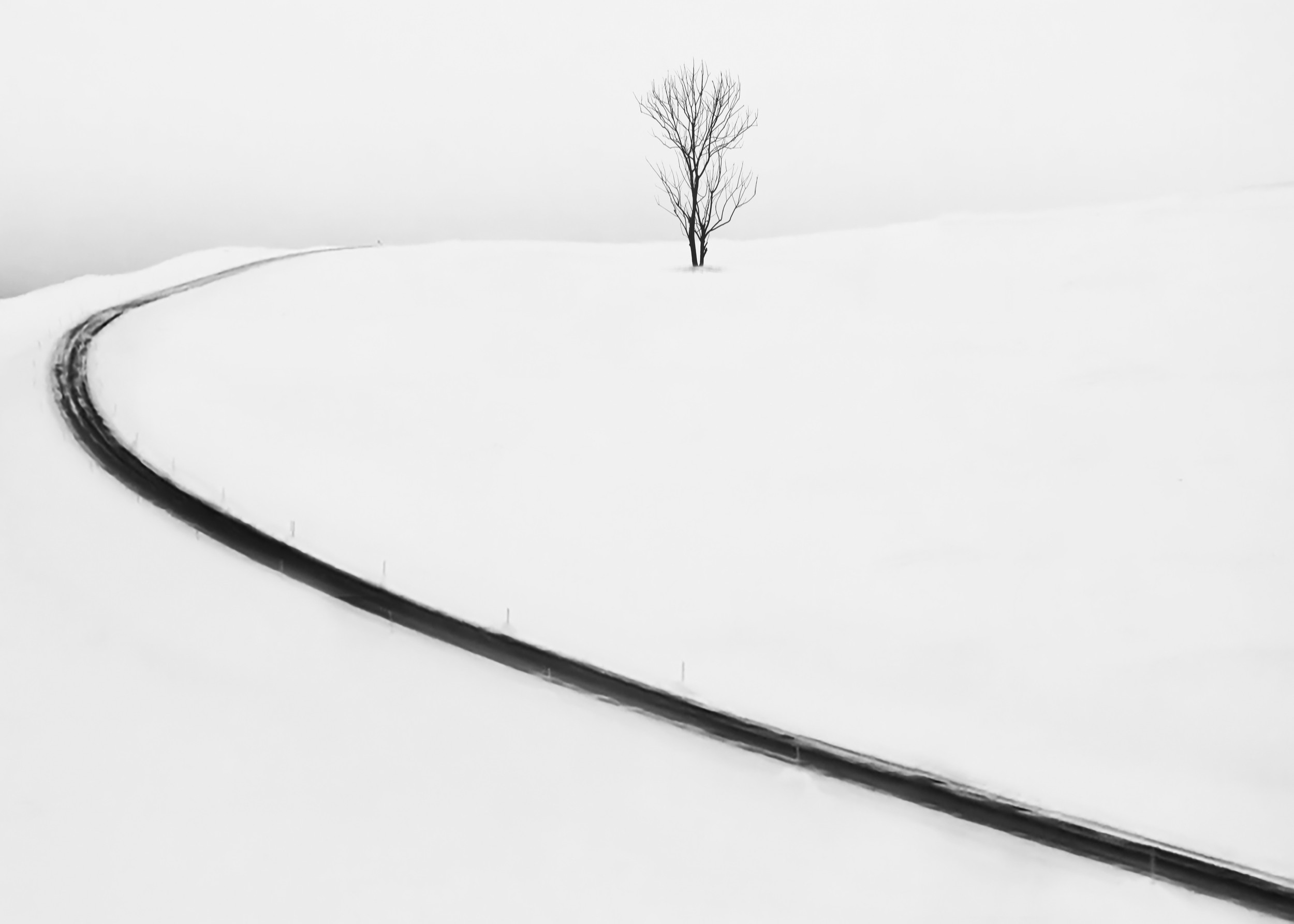 Parallel Solitude