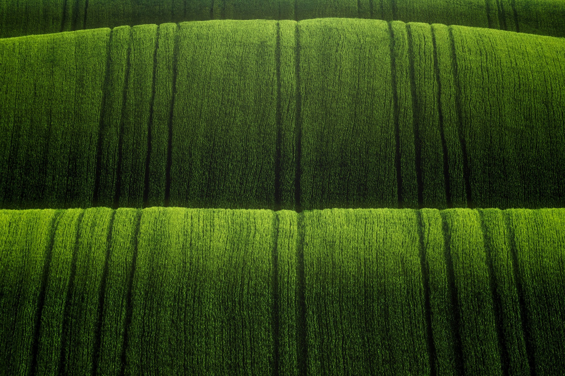 hills