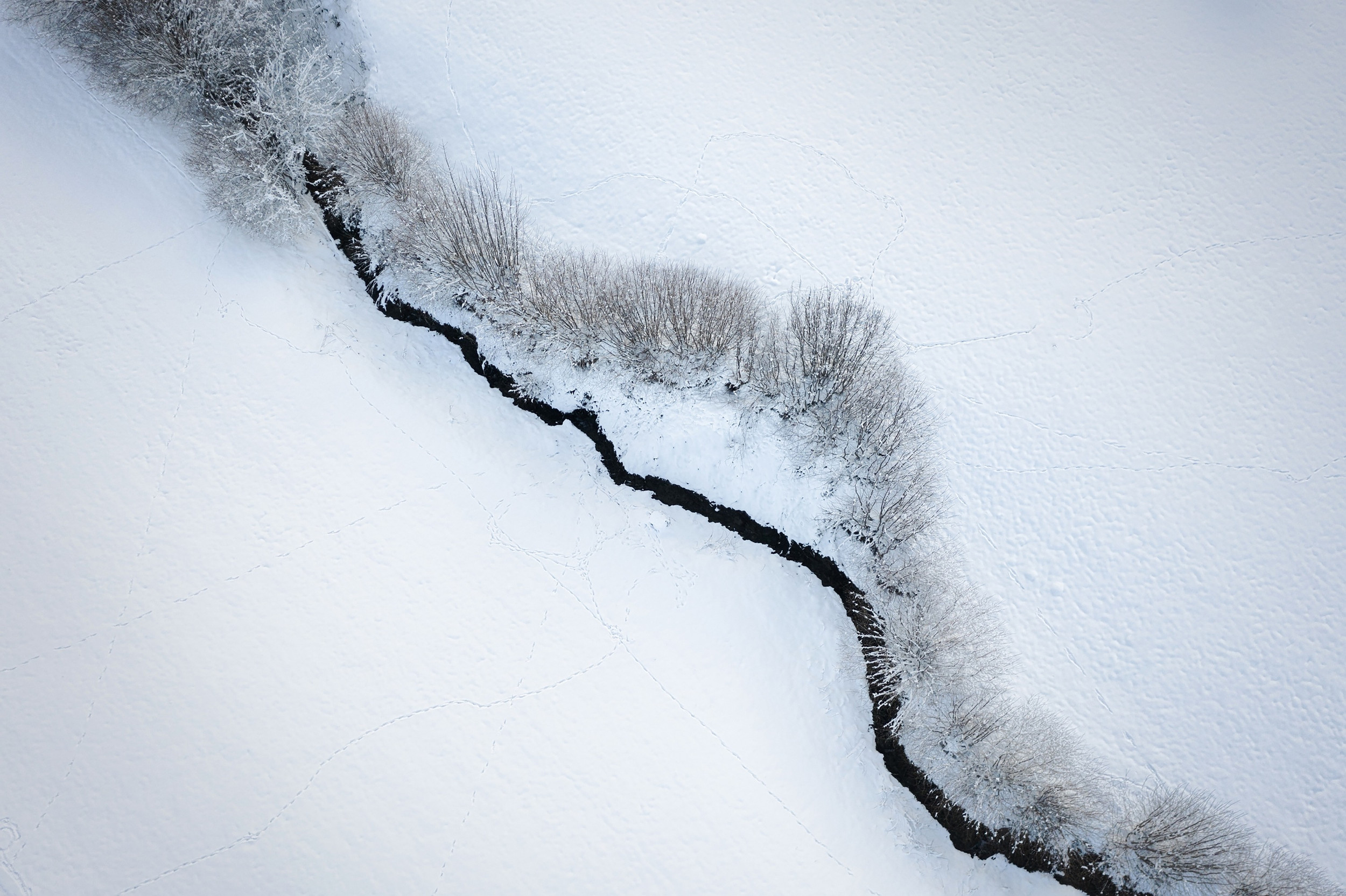 Rhythms of Nature