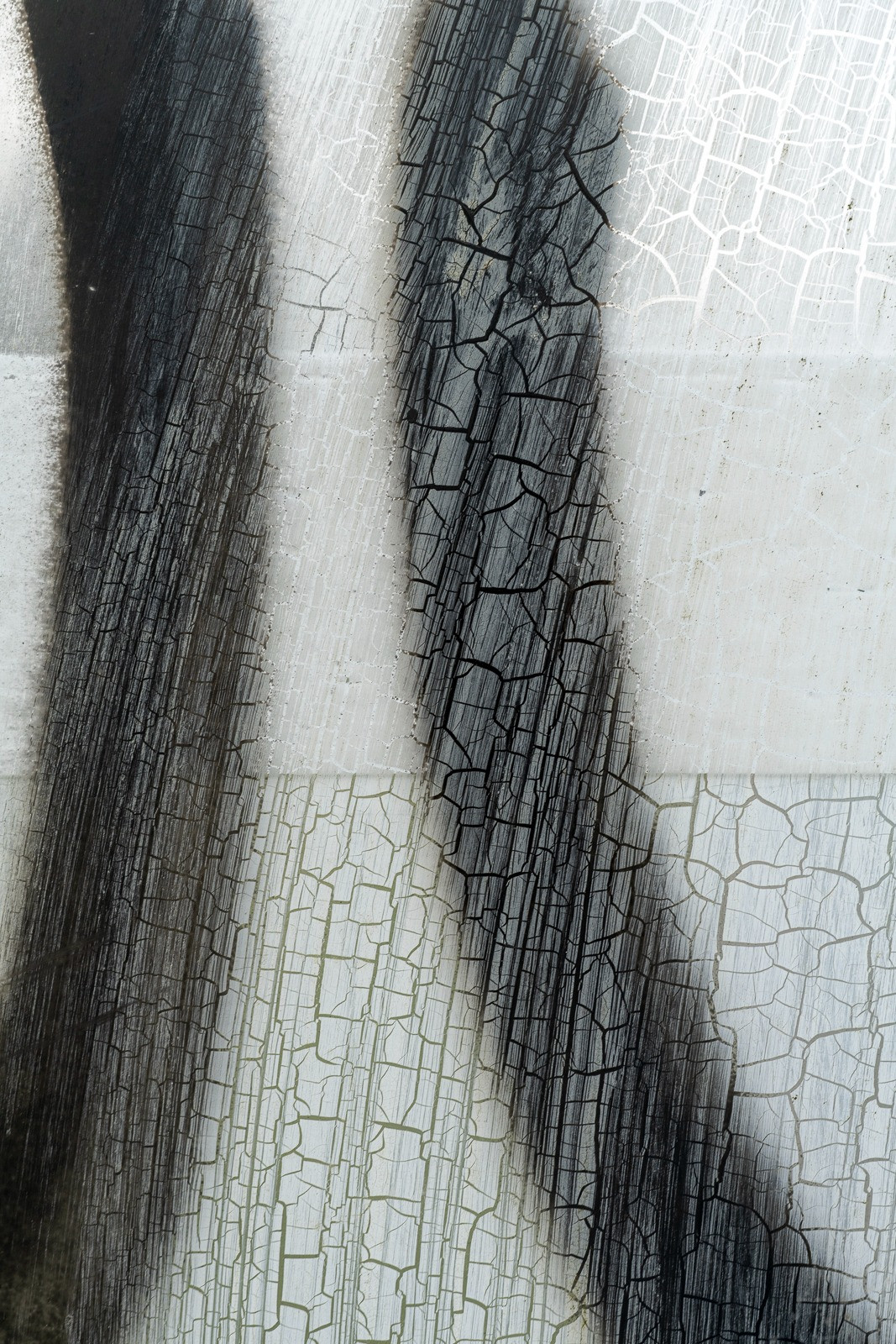 crackle