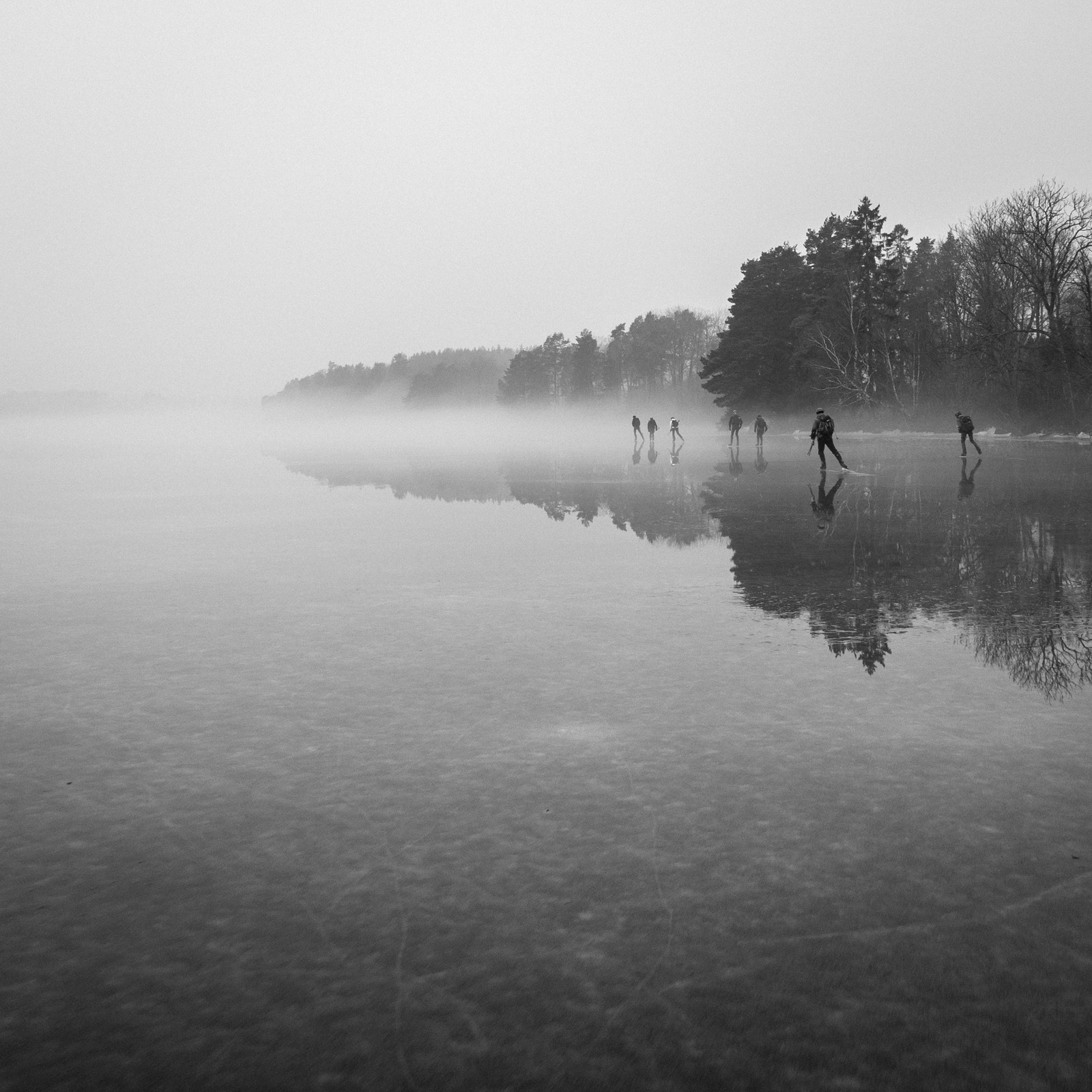 into the mist