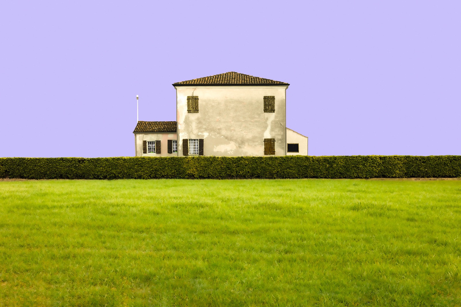 They Have Gone